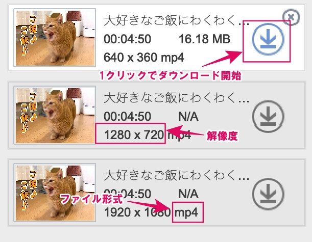 Download-選択