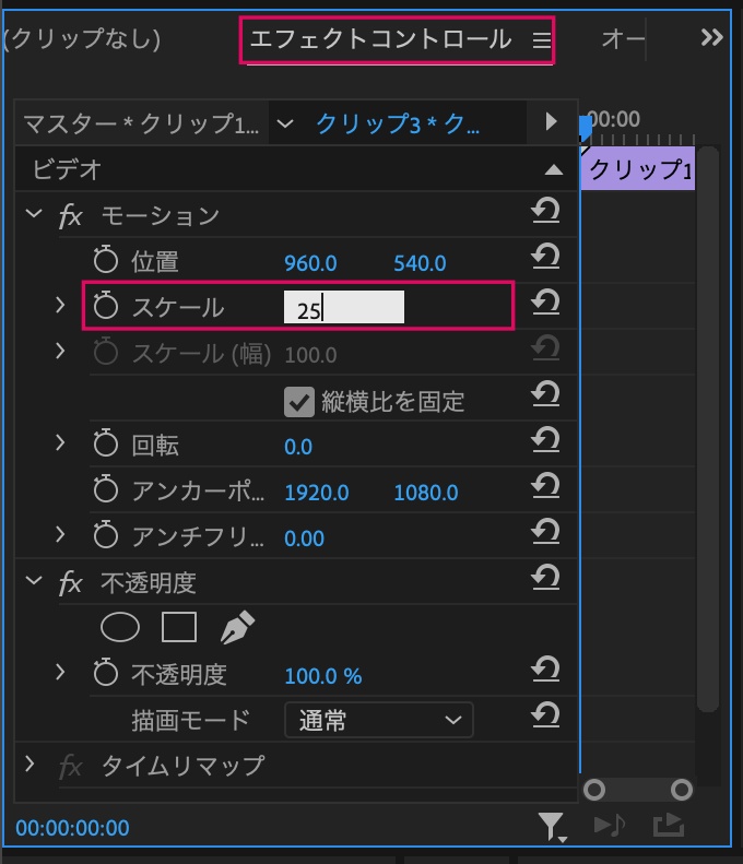 スケール-25