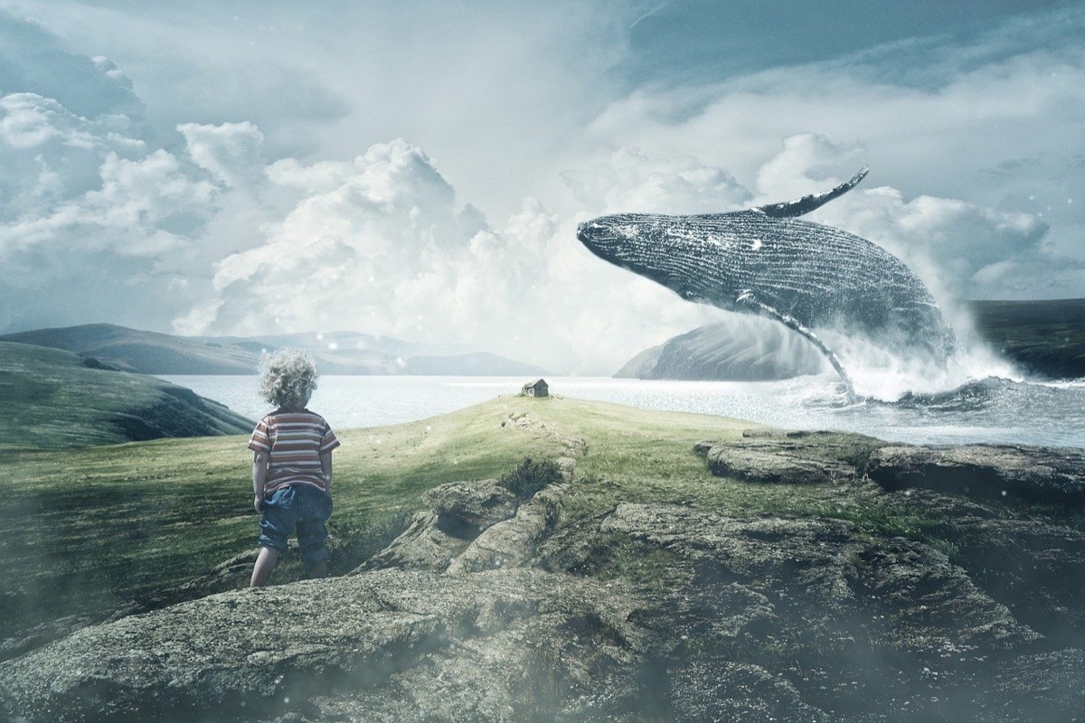 landscape-2785904_1280