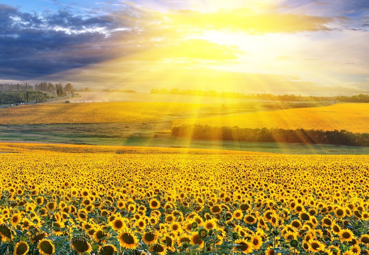 landscape-3908781_1280