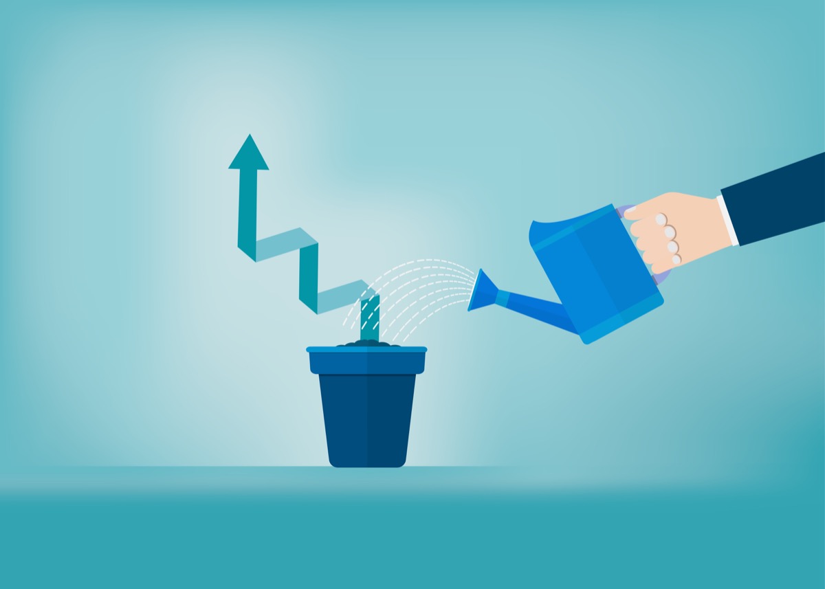 freepik-Arrow_in_pot
