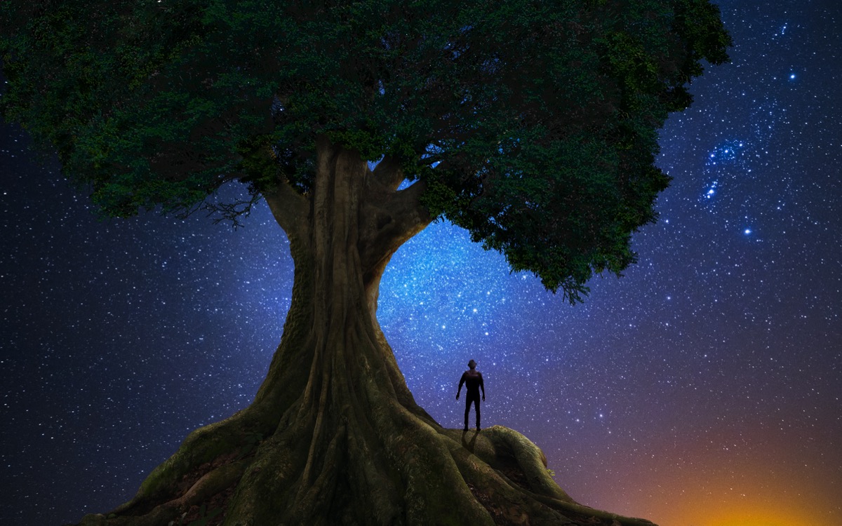 freepik-man-under-a-tree